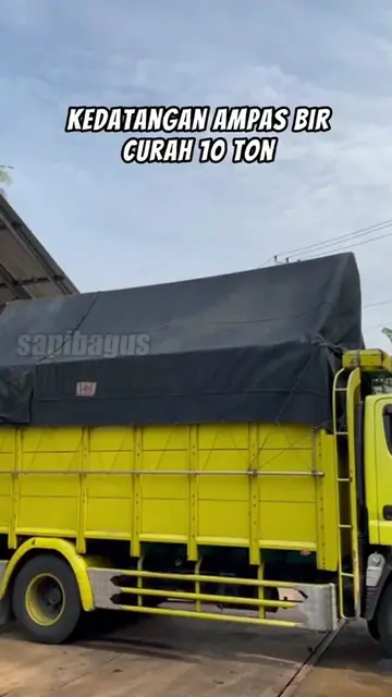 Kedatangan-Ampas-Bir-Curah-10-Ton
